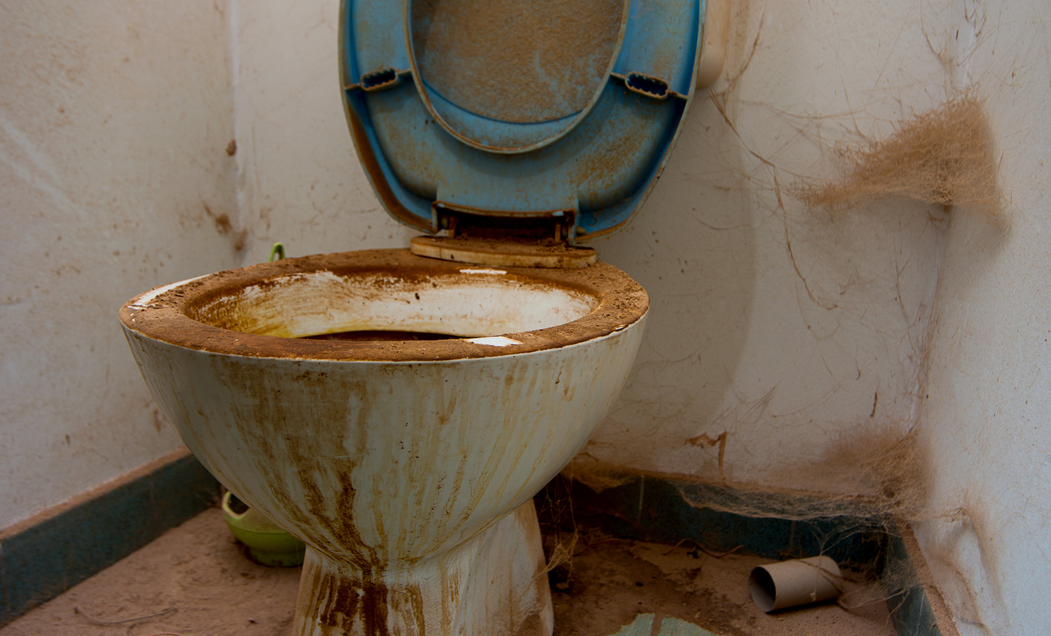 Wereld Toilet Dag 2024: Een Dringende Oproep tot Actie