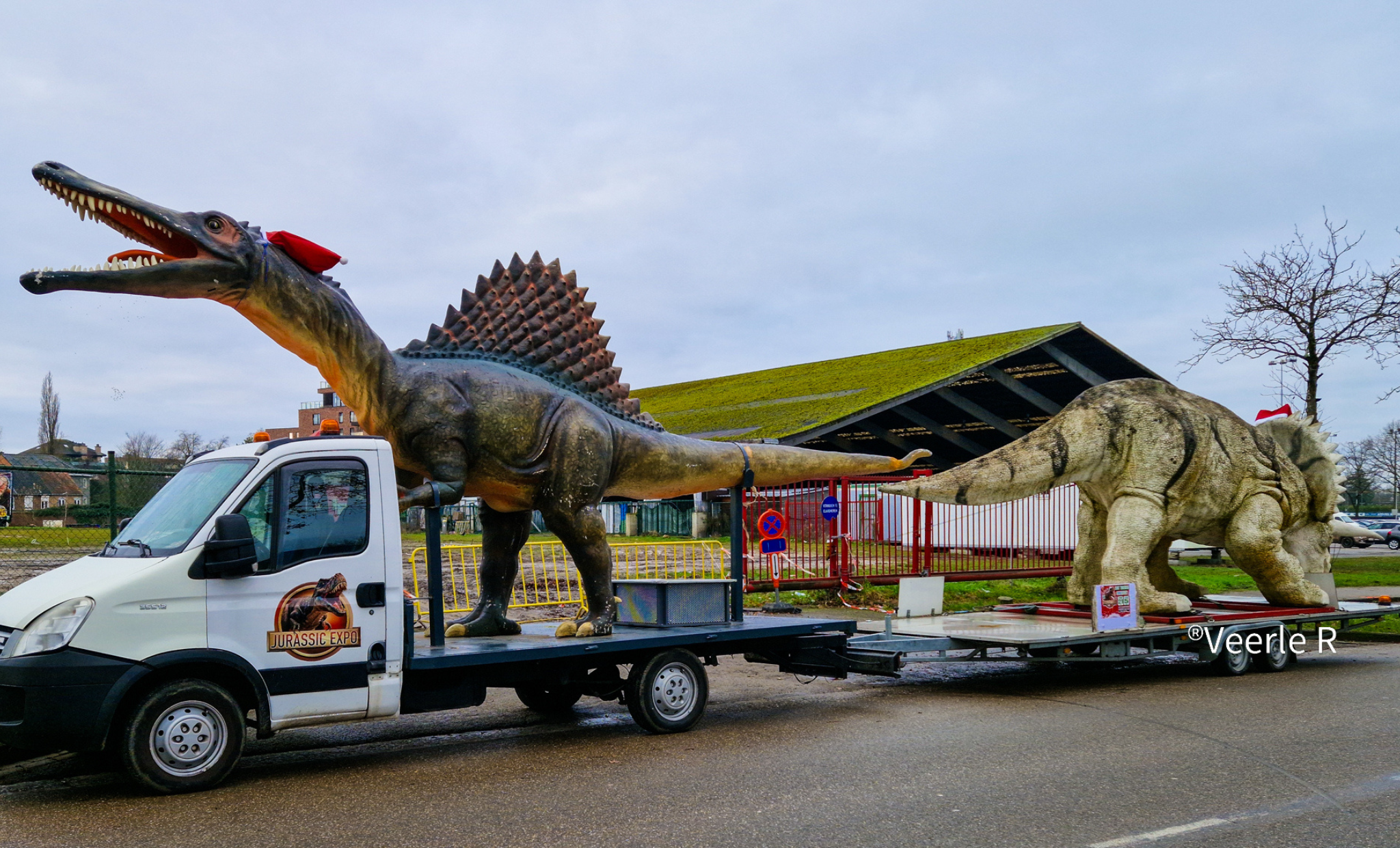 Jurassic Expo viert Kerstmis op de Veemarkt in Sint-Truiden!