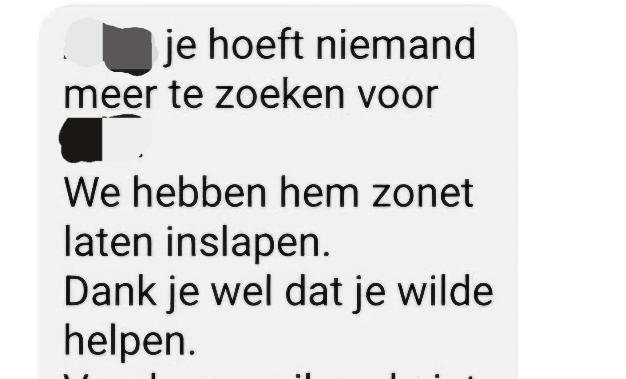 Rex, een triest einde voor een vrolijke hond