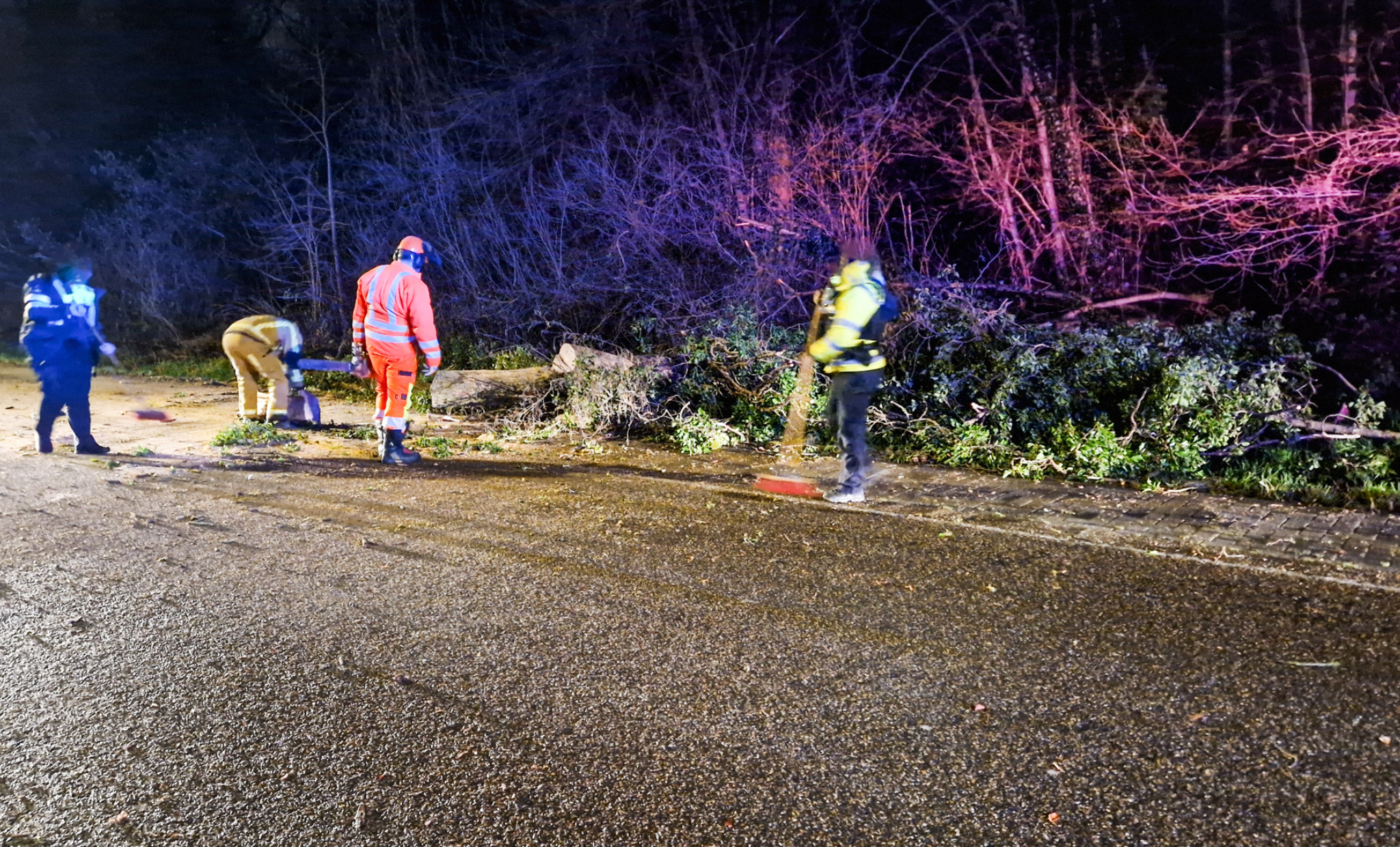 Drie bomen omgewaaid door rukwinden: tijdelijke afsluiting in Runkelen-Dorp