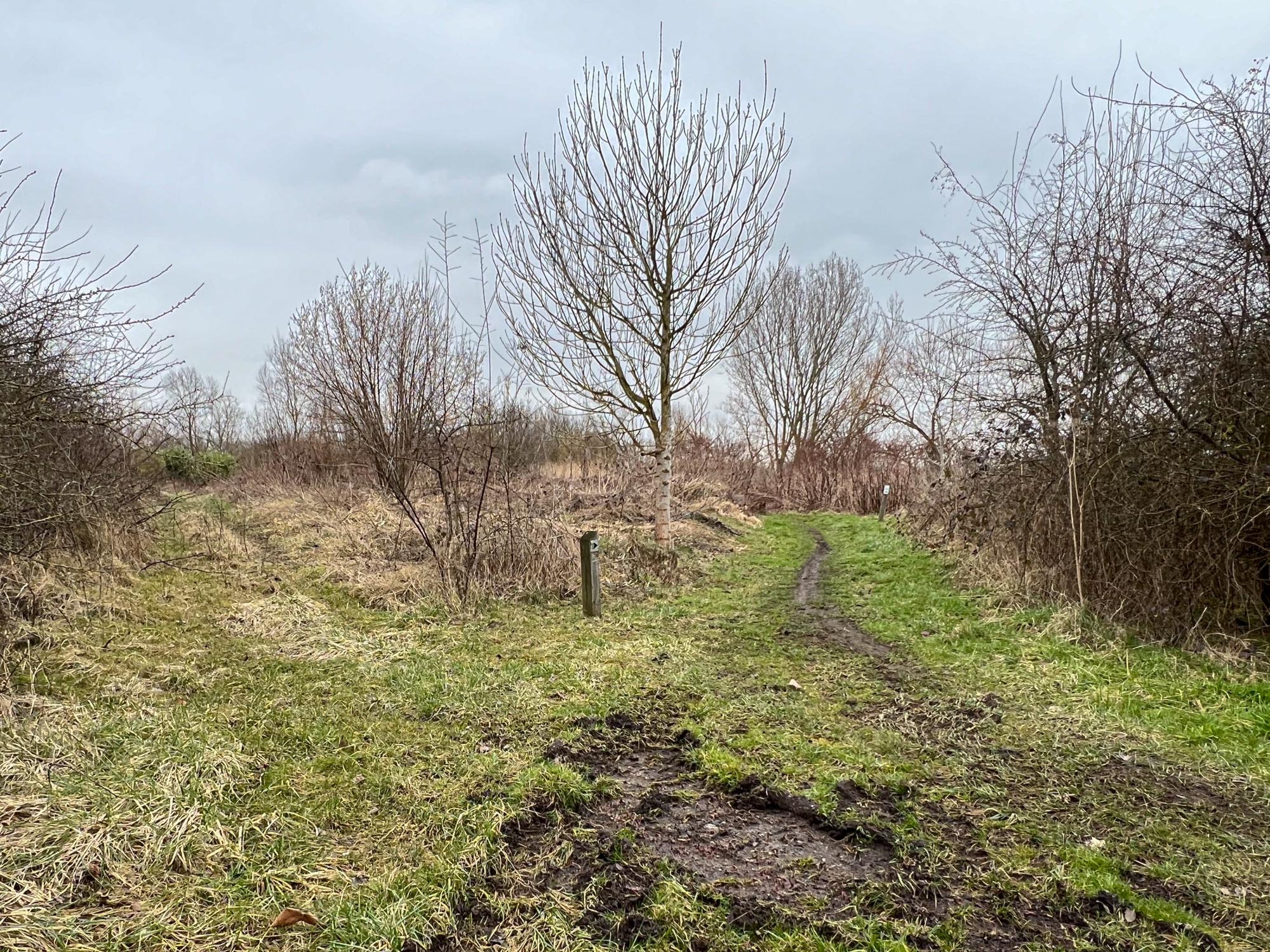 Historische stortplaats in Melveren wordt definitief aangepakt